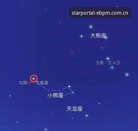 EBPM星空登录手机版哪个好 揭秘EBPM星空登录手机版背后的真相:36D数据系统如何改变赛场情报博弈